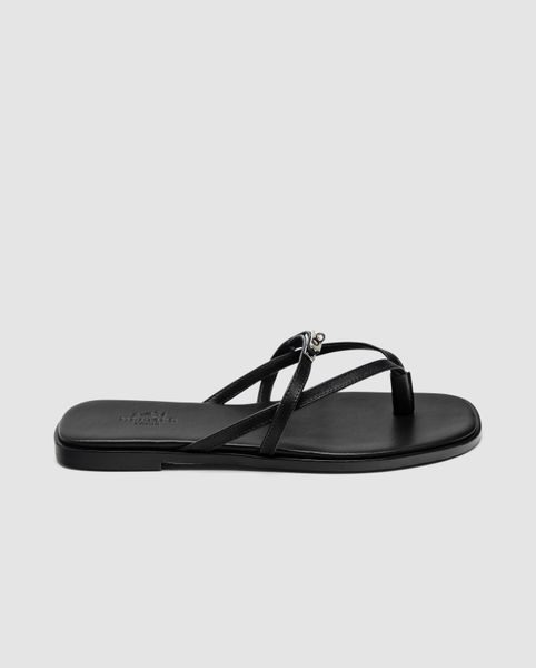 Шльопанці жіночі Miss Sandal Black 36 17009-1700520 фото