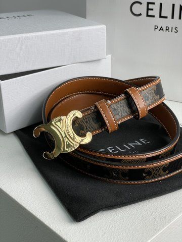 Ремінь Medium Triomphe Belt In Triomphe Canvas And Calfskin Tan 66123 фото